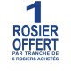 1 rosier offert par tranche de 5 rosiers achetés
