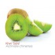 Kiwi - Actinidia Solo