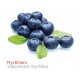 Myrtillier - Vaccinium c.
