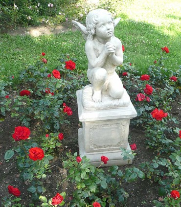 Rosier rouge vigoureux pour massif FLORADIANE