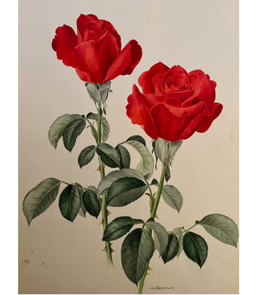 SAINT-VICTOR TIGE EXTRA 1,50m